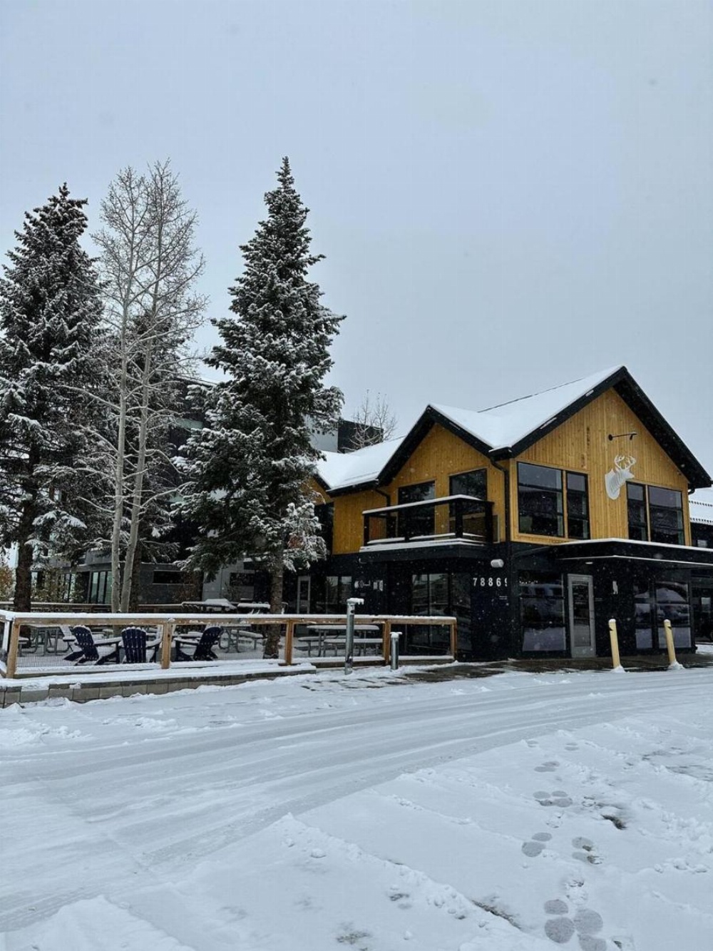 Gravity Haus Winter Park Image 12