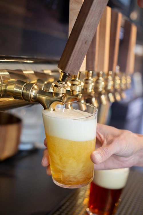 Gravity Haus Winter Park image 17